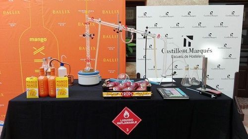 Máster Class de Ginebra en la Escuela de hostelería Castillo del Marqués master class ginebra, castillo del marques, gin ballix, frutas trops, escuela de hosteria, ies maria zambrano,