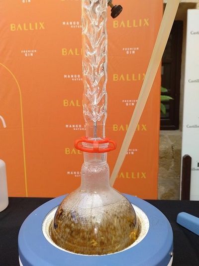 Máster Class de Ginebra en la Escuela de hostelería Castillo del Marqués master class ginebra, castillo del marques, gin ballix, frutas trops, escuela de hosteria, ies maria zambrano,
